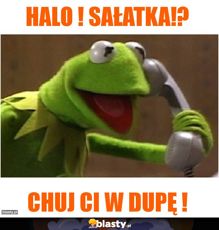 Halo ! Sałatka!?