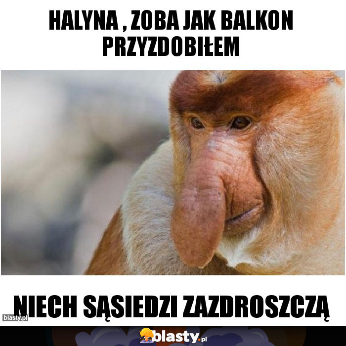 Halyna , zoba jak balkon przyzdobiłem