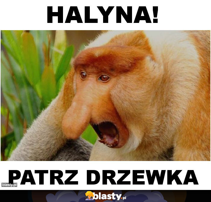 Halyna!