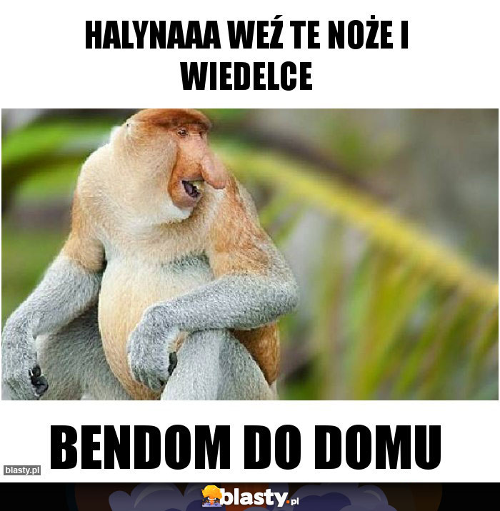 Halynaaa weź te noże i wiedelce