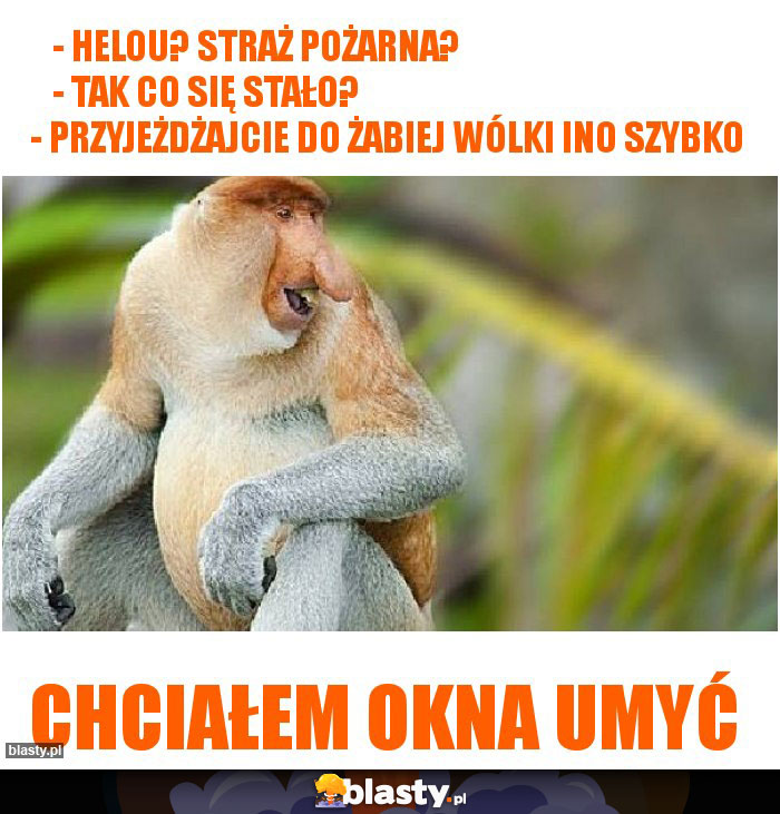 - helou? straż pożarna?                                        - tak co się stało?                                                       - przyjeżdżajcie do żabiej wólki ino szybko