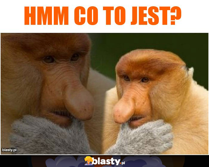 Hmm Co to jest?