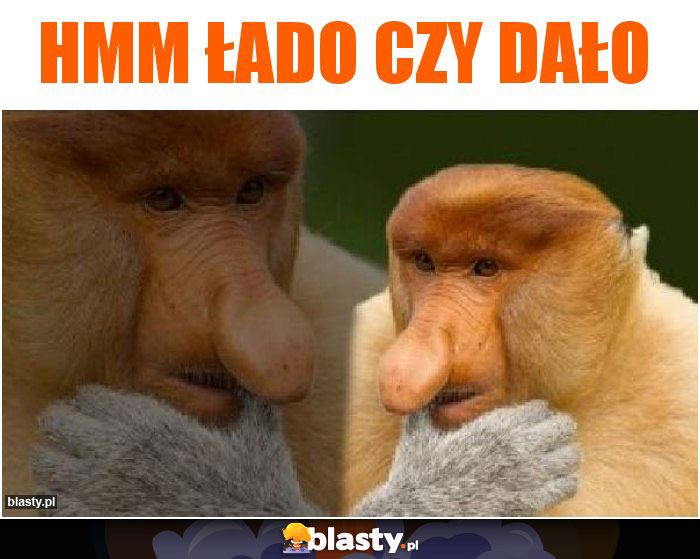 HMM ŁADO CZY DAŁO