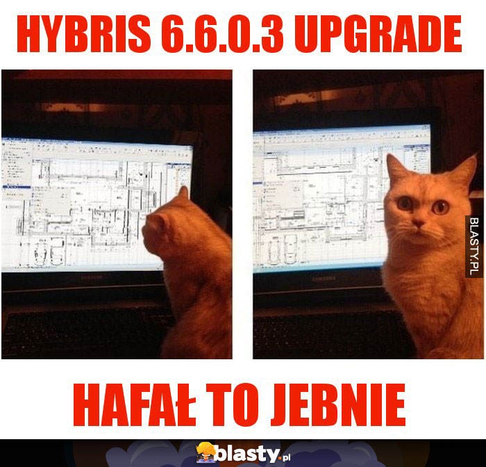 Hybris 6.6.0.3 upgrade