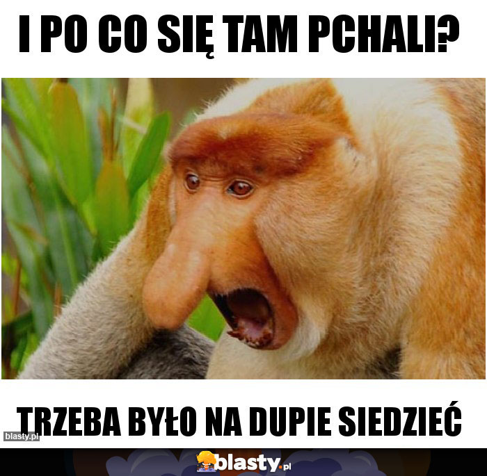 I po co się tam pchali?