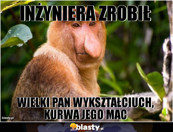 Inżyniera zrobił