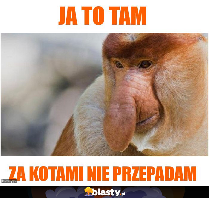 JA TO TAM