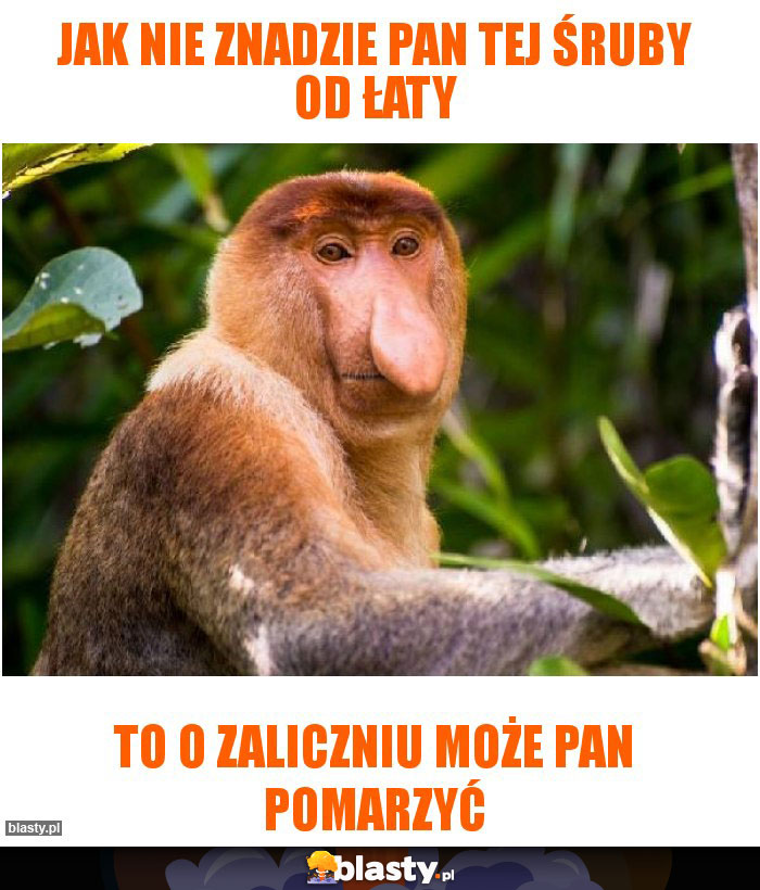 jak nie znadzie pan tej śruby od łaty