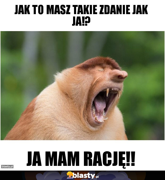 Jak to masz takie zdanie jak ja!?