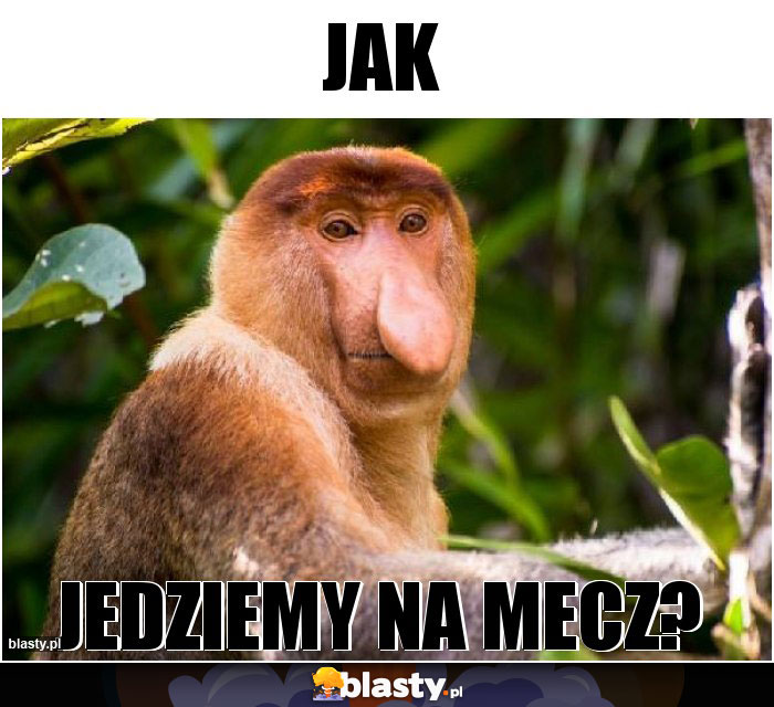 Jak