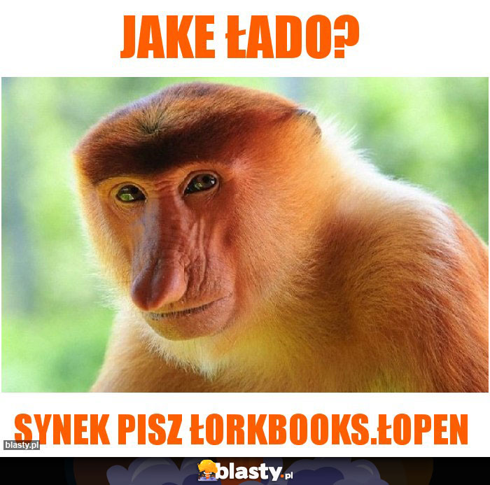 Jake łado?