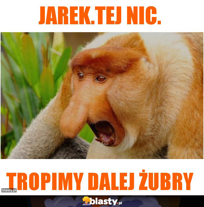 Jarek.Tej nic.