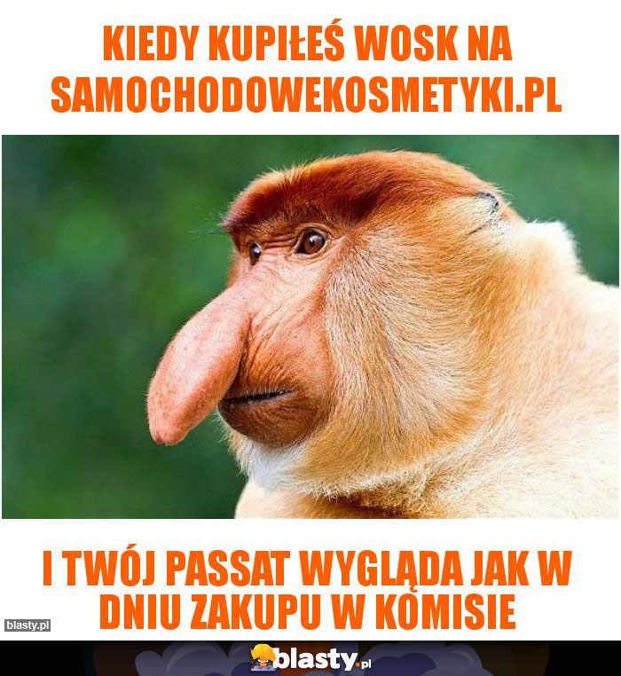 KIEDY KUPIŁEŚ WOSK NA SAMOCHODOWEKOSMETYKI.PL