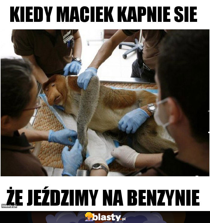 Kiedy Maciek kapnie sie