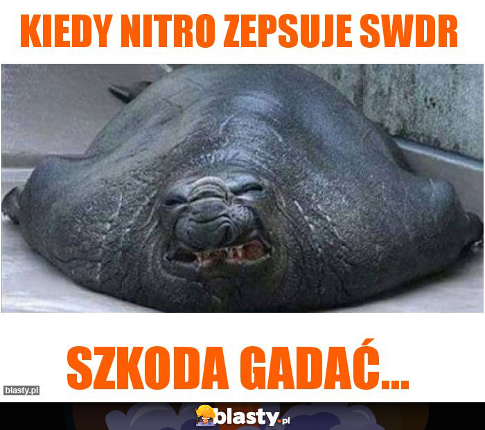 Kiedy nitro zepsuje SWDR