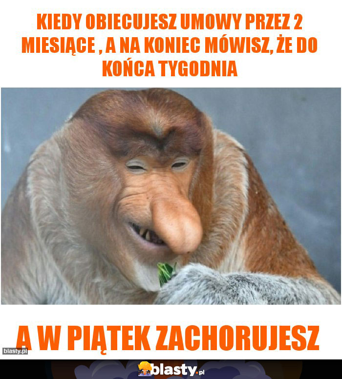 Kiedy obiecujesz umowy przez 2 miesiące , a na koniec mówisz, że do końca tygodnia