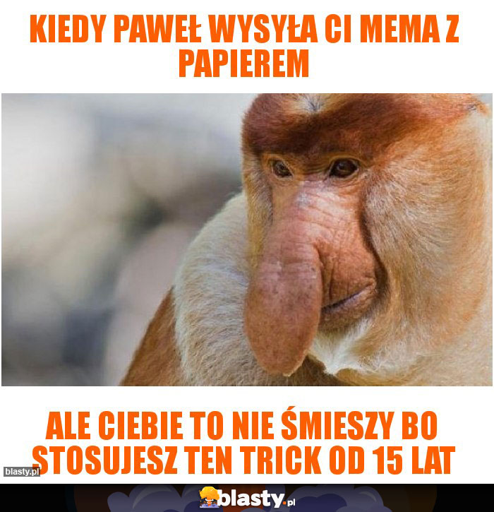 Kiedy Paweł wysyła Ci mema z papierem