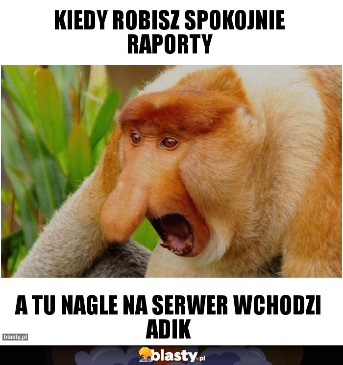 Kiedy robisz spokojnie raporty