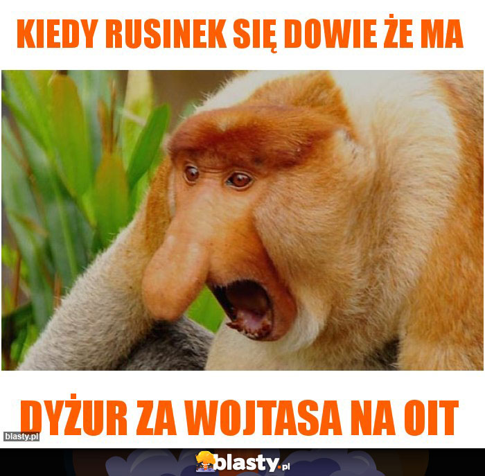 Kiedy Rusinek się dowie że ma