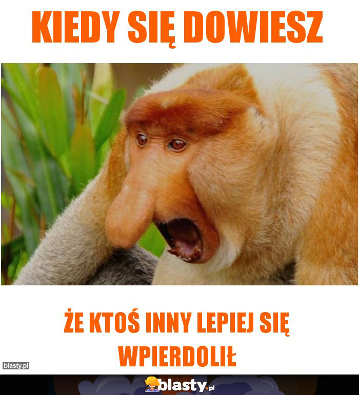 Kiedy się dowiesz