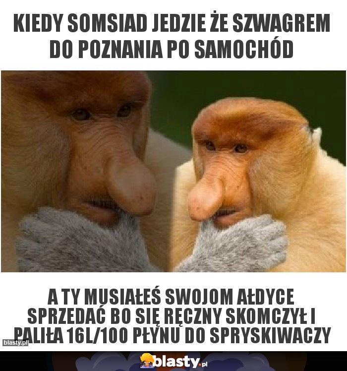 Kiedy somsiad jedzie że szwagrem do poznania po samochód