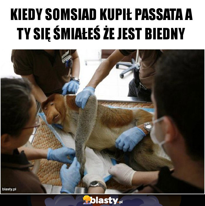 Kiedy somsiad kupił passata a ty się śmiałeś że jest biedny