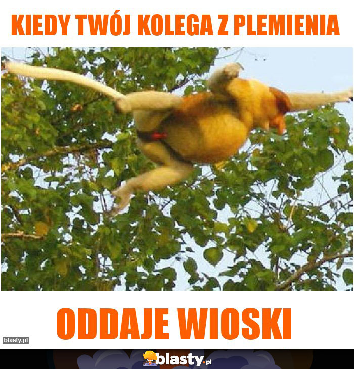 Kiedy twój kolega z plemienia