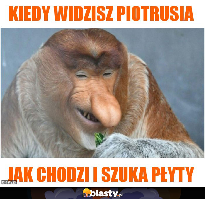 Kiedy widzisz Piotrusia