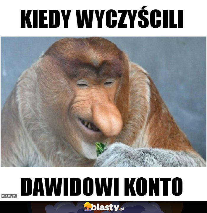 Kiedy wyczyścili