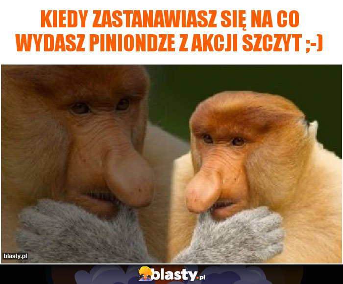 Kiedy zastanawiasz się na co wydasz piniondze z akcji szczyt ;-)