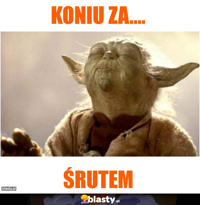 Koniu za....