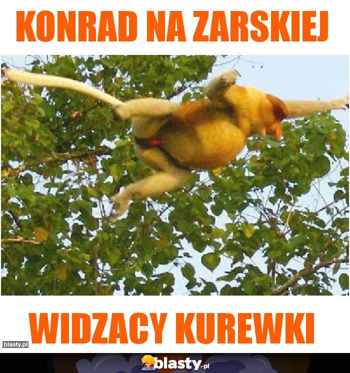 Konrad na Zarskiej