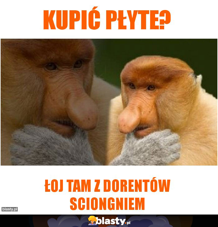 Kupić płyte?