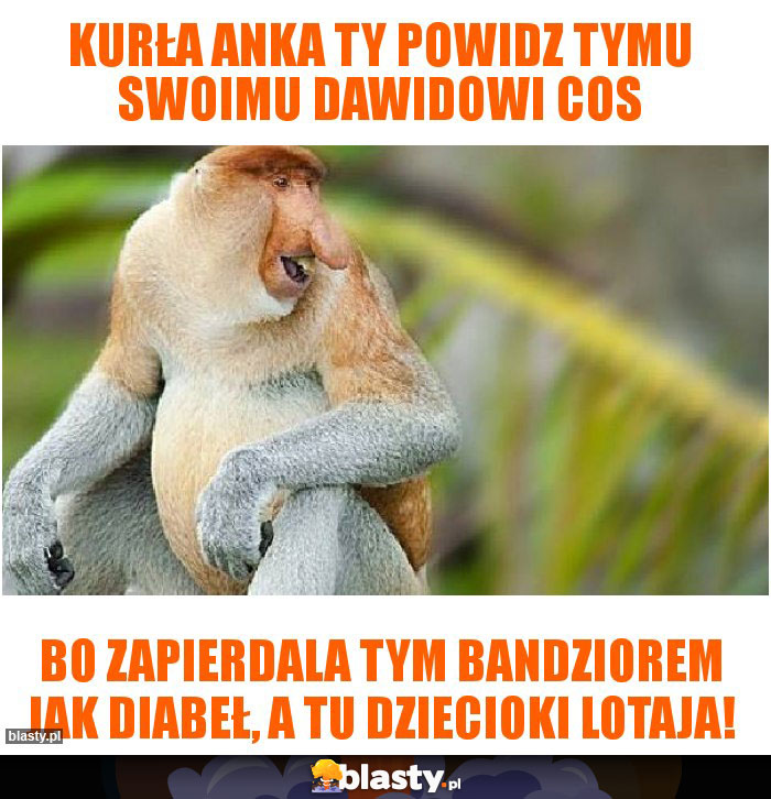 Kurła Anka Ty Powidz tymu swoimu dawidowi cos