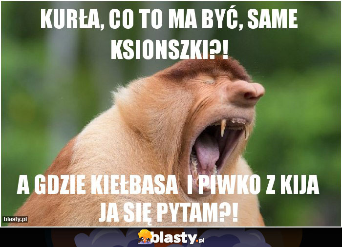 Kurła, CO to ma być, SAME ksionszki?!