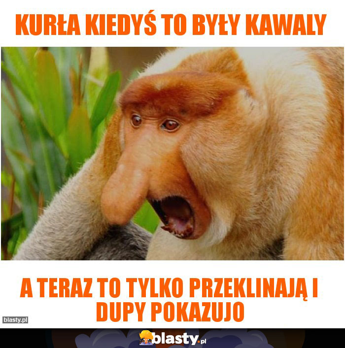 Kurła kiedyś to były kawaly