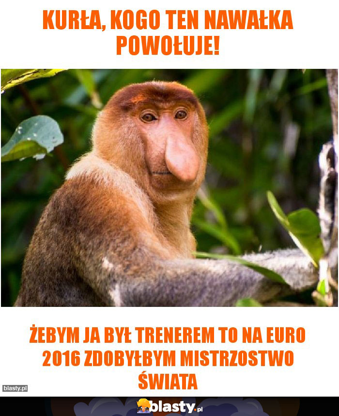 Kurła, kogo ten Nawałka powołuje!