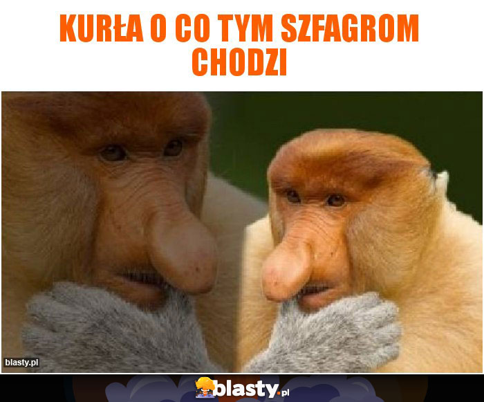 Kurła o co tym szfagrom chodzi