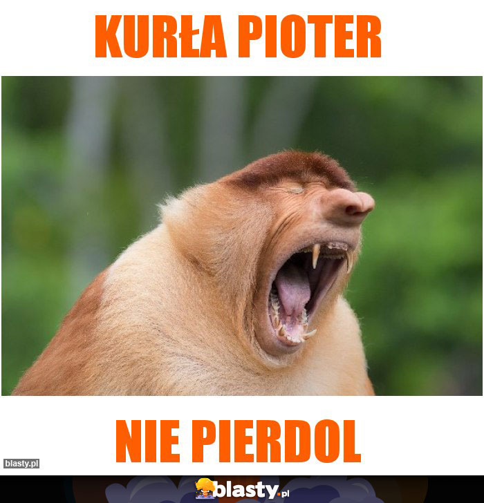 Kurła Pioter