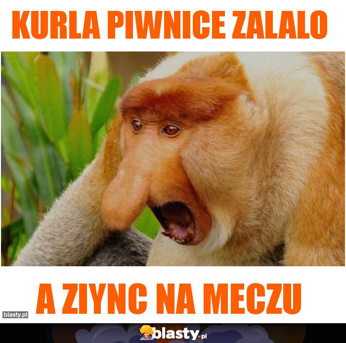 Kurla piwnice zalalo