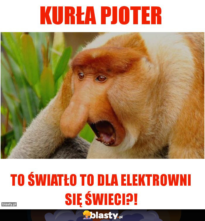 Kurła Pjoter