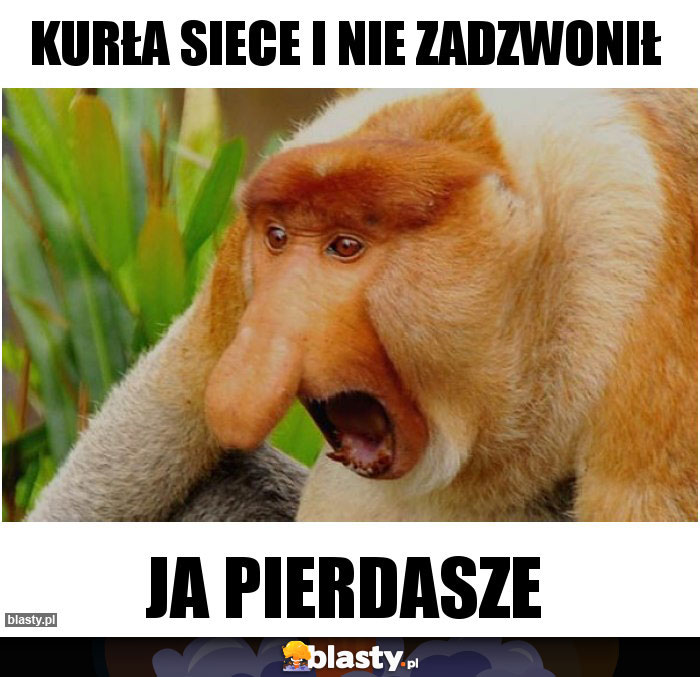 Kurła siece i nie zadzwonił