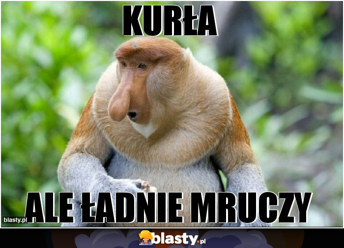 Kurła