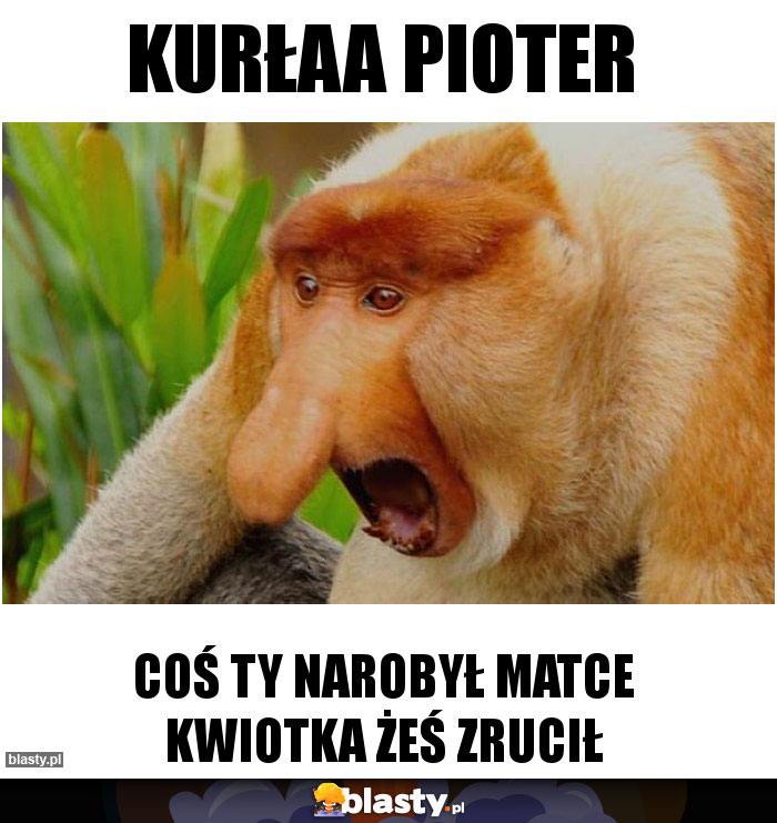 KURŁAA PIOTER