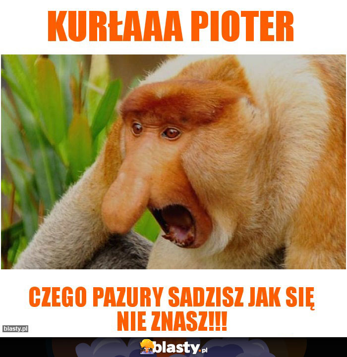 Kurłaaa Pioter