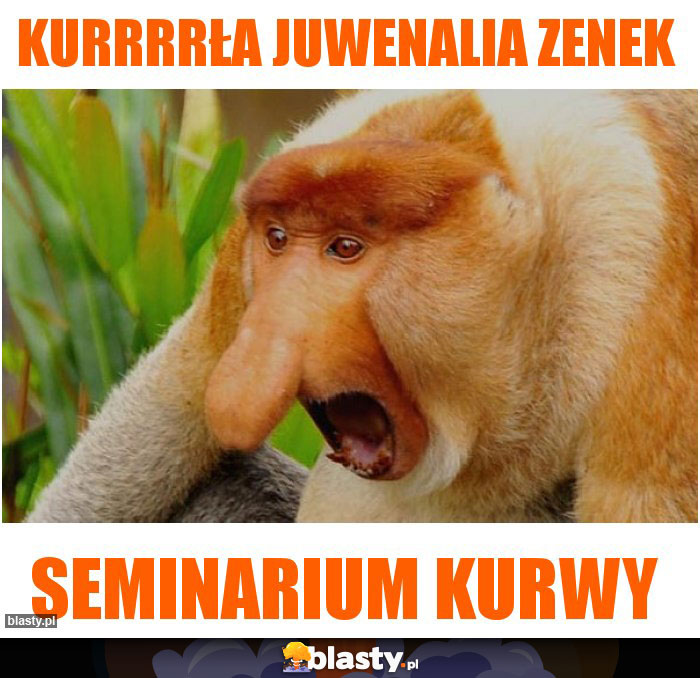 Kurrrrła juwenalia zenek