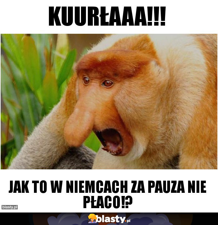 Kuurłaaa!!!