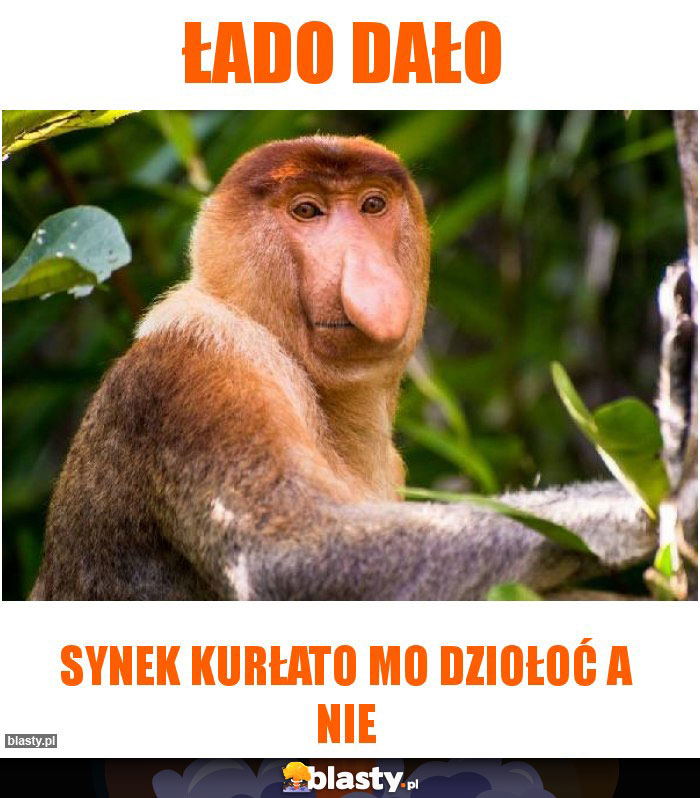 Łado DAŁo