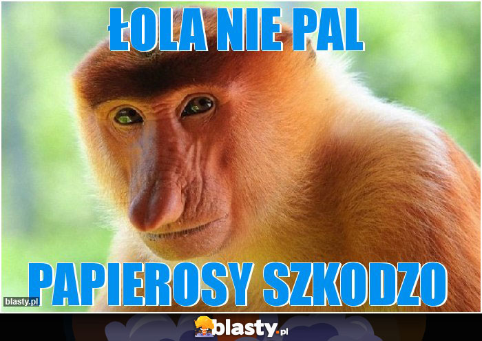 Łola nie pal