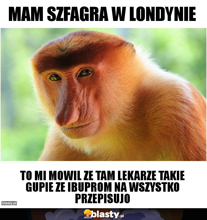 Mam szfagra w londynie